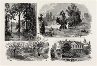 SKETCHES IN WATERLOW PARK, WHICH HAS BEEN PRESENTED TO THE PUBLIC BY SIR SYDNEY WATERLOW: 1. The