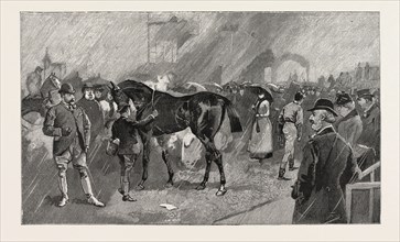 THE NEWMARKET OCTOBER MEETING: THE BIRDCAGE ON A RAINY DAY