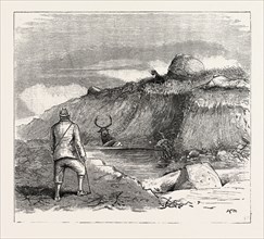 DEER STALKING IN THE FOREST OF THE BLACK MOUNT, ARGYLLSHIRE: THE COUP DE GRACE