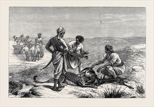 SKETCHES FROM INDIA, ANTELOPE HUNTING: "CAUGHT"