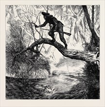 AMERICAN SKETCHES: "ON THE SCOUT", A SCENE IN THE BACKWOODS