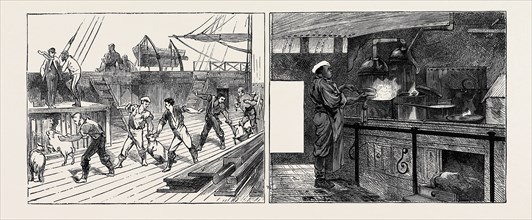 ON BOARD THE "INDUS" EMIGRANT SHIP: LIVE PROVISIONS (LEFT), THE GALLEY AND THE COOK (RIGHT)