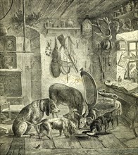 Hunt, Austria, Dogs, 1891