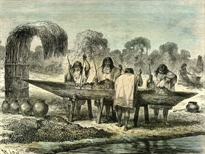 Oil production of turtle eggs by Conibos, 1869, Peru