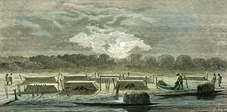 Mosquito Nets, 1869, Peru