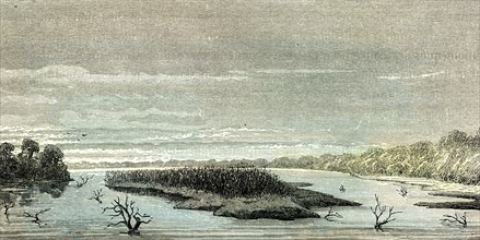 Apu-Paro River, 1869, Peru