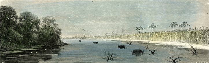 Plaines of Sacrement, 1869, Peru
