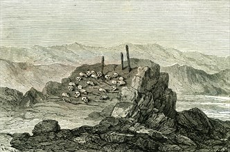 Aymara near Islay, 1869, Peru