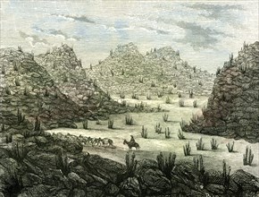 Cerros, 1869, Peru