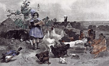 A Morning Call; Chicken; A.W. Strutt; Child; 1891;, girl feeding chickens; farm house; bush;