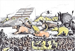 Prehistoric Peep by Reed. The Derby