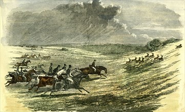 Lyndhurst, New Forest, U.K., 1850, chase of a jackal, hunt