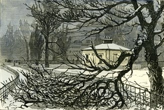 Kensington Gardens, London, 1887, damage to trees near Queen's Gate