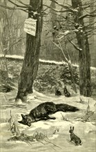 Hunting, Fox, Austria 1891