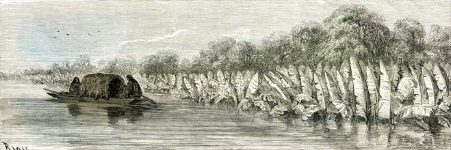 Ucayali River, Peru, 1869