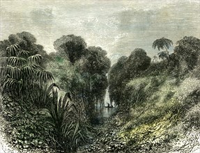 Sarayacu River, Peru, 1869