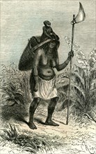 Plantation, Peru, 1869