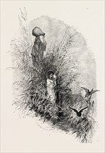 AMONG THE REEDS BY THE RIVER.  Egypt, engraving 1879