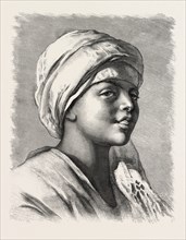 HASAN, THE DONKEY-BOY.  Egypt, engraving 1879