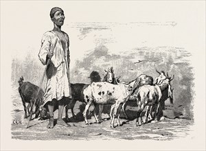 CAIRENE MILKMAN.  Egypt, engraving 1879