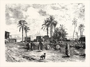 CAIRO; FROM THE LEFT BANK OF THE NILE. Egypt, engraving 1879