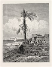 BANK OF THE NILE IN THE NEIGHBOURHOOD OF ABYDOS. Egypt, engraving 1879