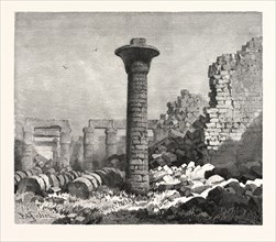 COLUMN IN THE GREAT COURT OF KARNAK. Egypt, engraving 1879