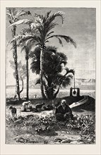 A SHEPHERD AT KARNAK.   Egypt, engraving 1879