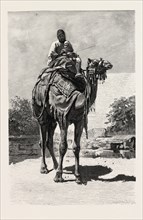 CAMEL RIDER. Egypt, engraving 1879
