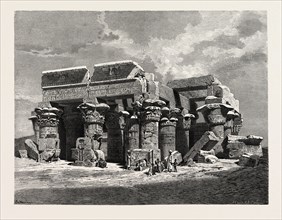Temple of Kom Omboo. Egypt, engraving 1879