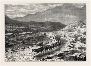 A BULLOCK WAGGON ON ITS WAY TO THE DIAMOND FIELDS, SOUTH AFRICA