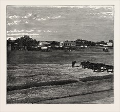 VIEW OF POTCHEFSTROM, IN THE TRANSVAAL, SOUTH AFRICA