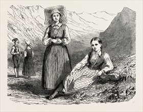 NORWEGIANS OF THE LOVARDALSSKARD.