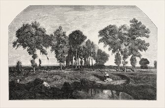 Salon of 1855. The forest, painting by Mr T. Rousseau. engraving 1855