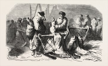 Pigs Dealers Petersburg. According to the sketch of M. de Henriet. 1855. Engraving