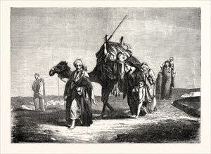 Convoy funeral in the desert of Suez, painting by Mr Portaels, Egypt. engraving 1855