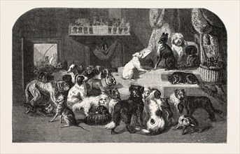 petition by dogs. engraving 1855
