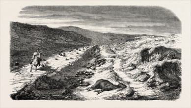 The ravine, balls, before Sebastopol. The Crimean War, 1855. Engraving