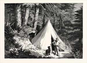 A SUMMER ENCAMPMENT IN A NORTH PACIFIC FOREST: COPPER MOUNTAIN, NEAR ALBERNI, ON THE WESTERN SHORES