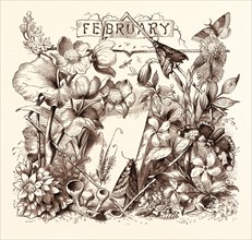 FEBRUARY, calendar, year, month, monthly