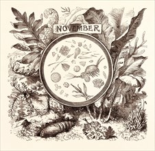 NOVEMBER, calendar, year, month, monthly