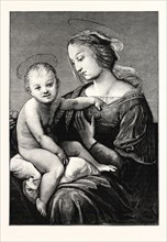 Virgin and Child, by Raphael, an Italian painter and architect