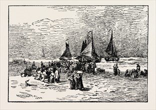 Fish Auction, Zandvoort. By R. Anderson. THE NETHERLANDS