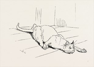 THE CAT THAT ATE THE RAT, 19th century