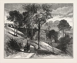 TERRACES IN BEAUMONT PARK, HUDDERSFIELD, UK, 1883