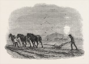 AGRICULTURAL PICTURES: PLOUGHING, 1846