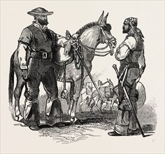 THE WAR IN MEXICO: HEAD MULETEER AND MAN, 1847