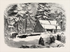 LUMBERING IN NEW BRUNSWICK, LUMBERMAN'S CAMP HOUSE, 1858