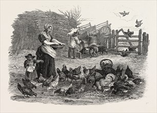 AGRICULTURAL PICTURES THE POULTRY-YARD, 1847