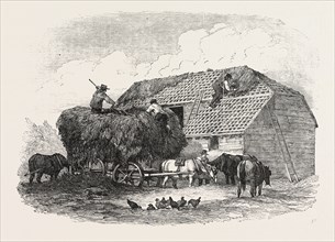 AGRICULTURAL PICTURES: " THATCHING", 1846